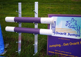 Jump Rail Rack Storage - Wall/Fence Mounted (pair)